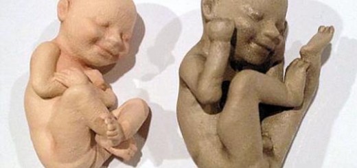 3d babies